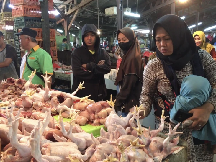 Ayam Potong Tembus Rp45.000...