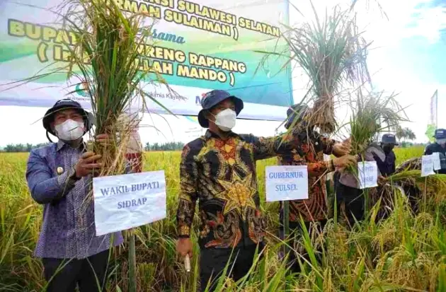 Ekonomi Sulsel Tumbuh,...