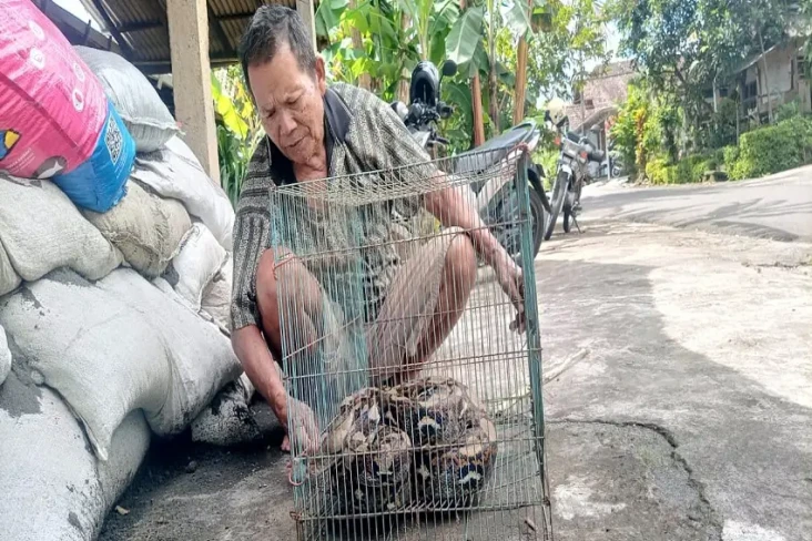 Warga Playen Tangkap...