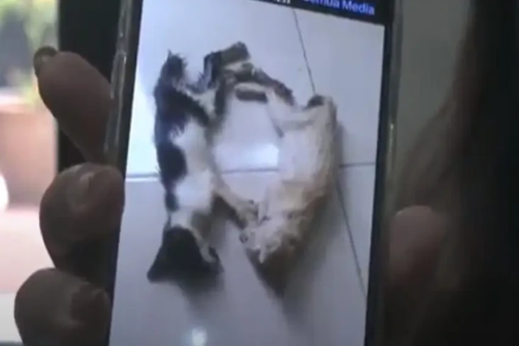 Selewengkan Dana untuk...