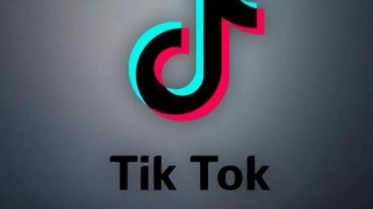 TikTok Jadi Platform...