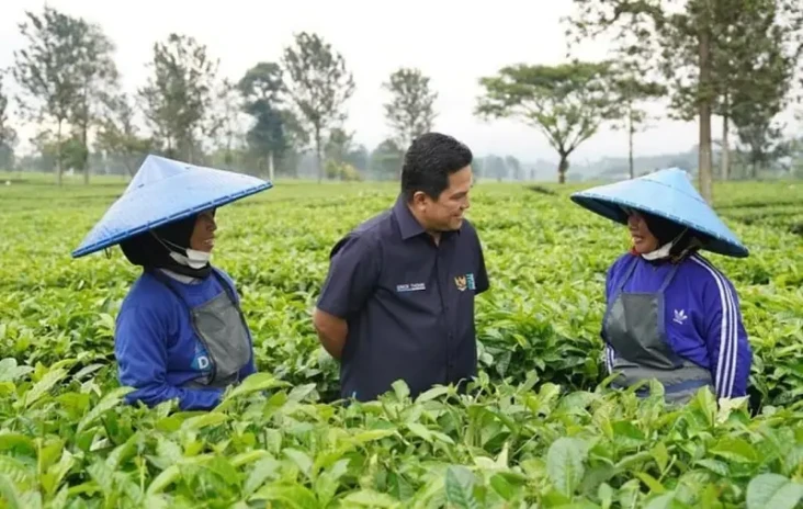 Kinerja BUMN Diapresiasi...