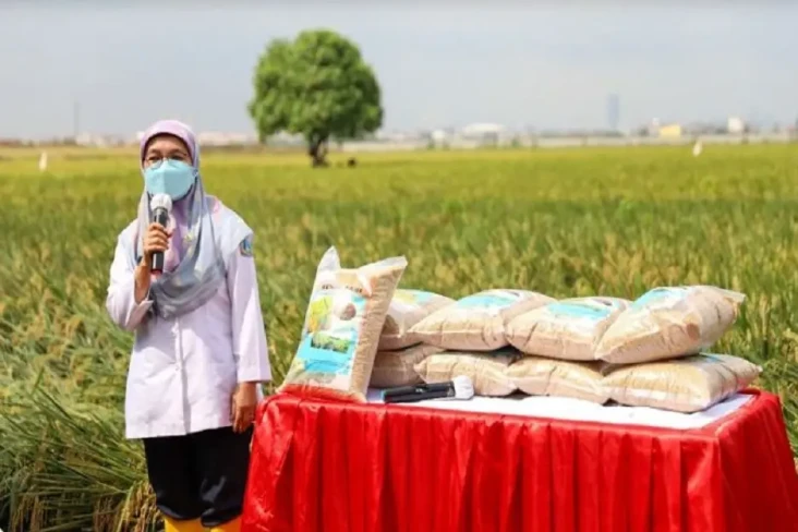 Sawah Abadi Beralih...