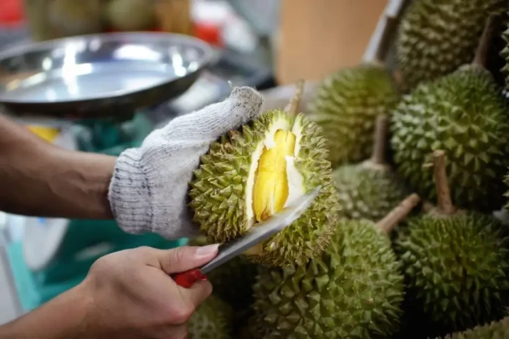 4 Daerah Penghasil Durian...