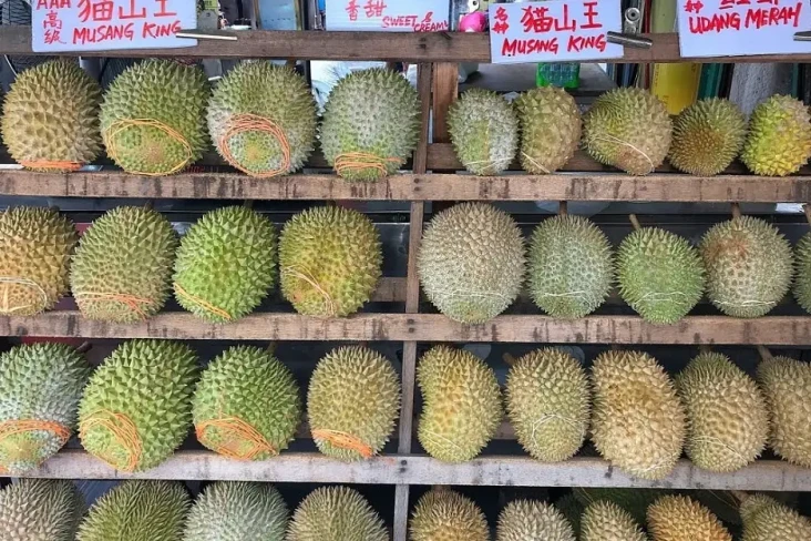 3 Negara Penghasil Durian...