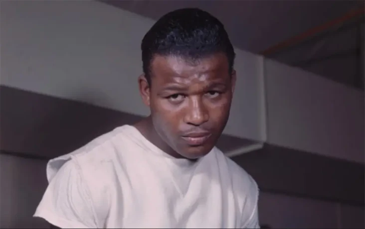 Kekayaan Sugar Ray Robinson,...