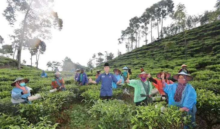 Beri Semangat dan Bantu...