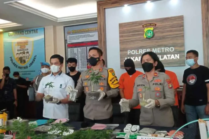 Tanam Ratusan Pohon...