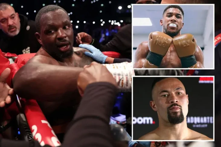 5 Dillian Whyte Berikutnya...