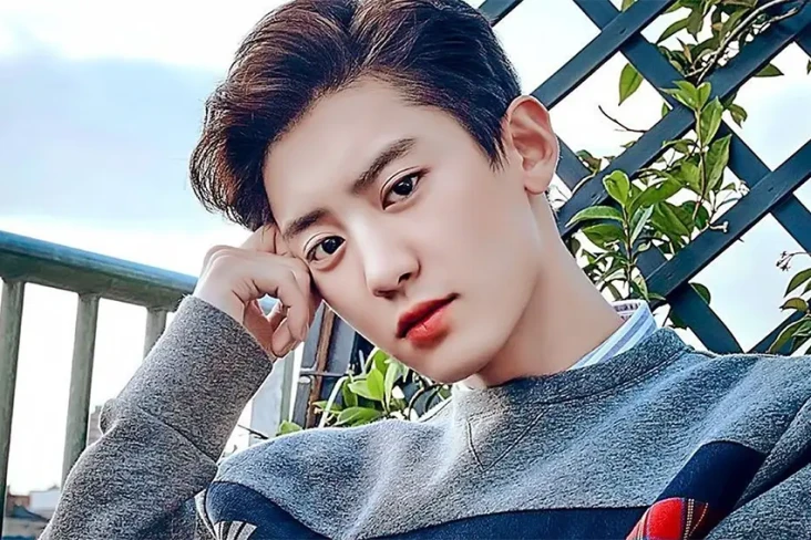 Chanyeol EXO Diduga...