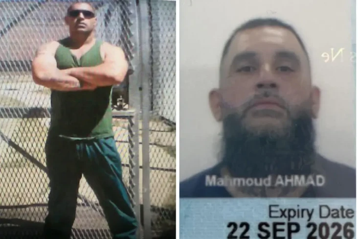 Bos Gangster Mahmoud...