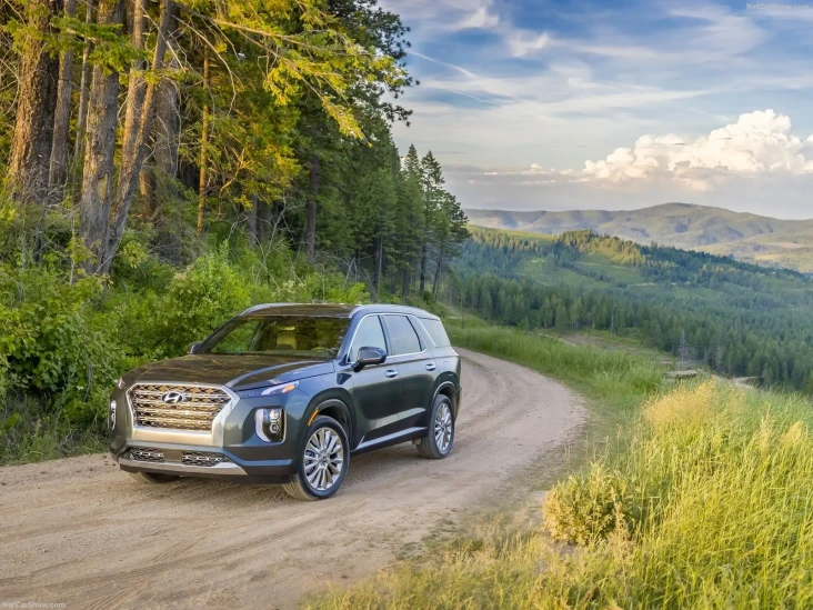 Hyundai Palisade Jadi...