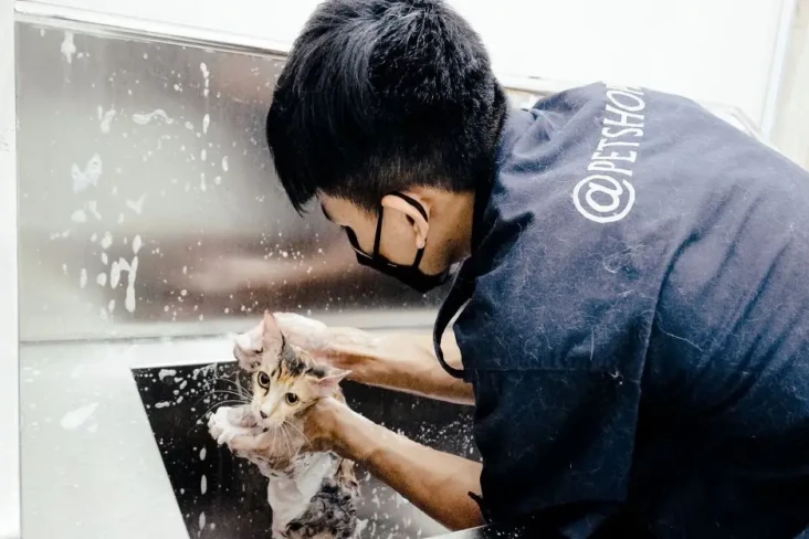 Berkah Mudik, Bisnis...