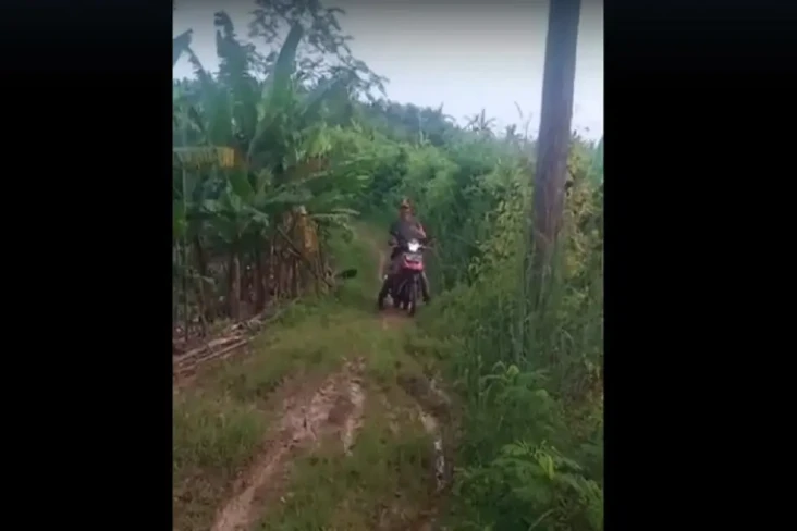 Kisah Horor Pemudik...