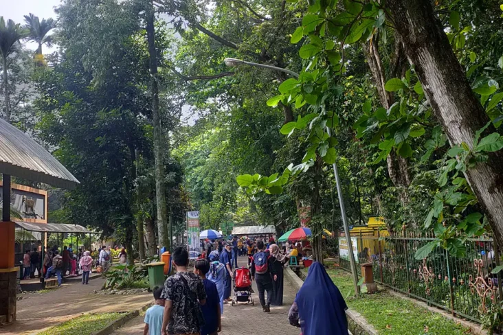 Pihak Ragunan Sayangkan...