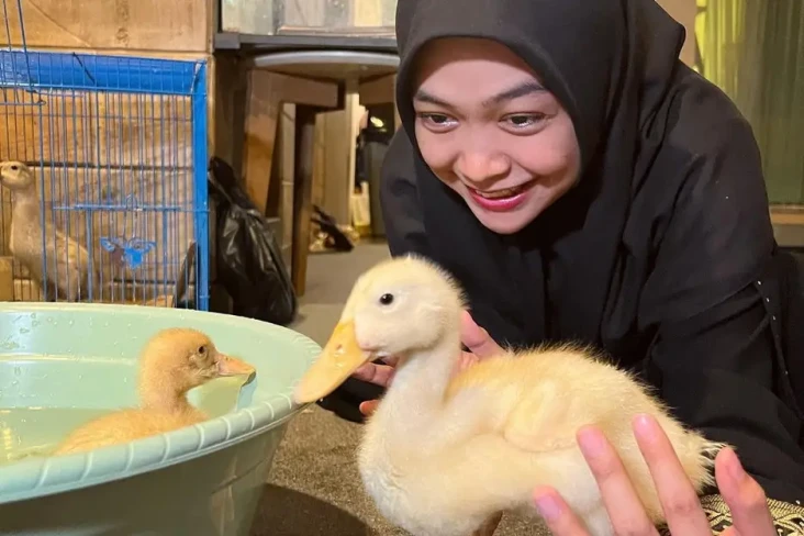 Gaji di Atas UMR, Ini...