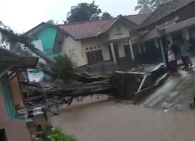 Pohon Tumbang Timpa...
