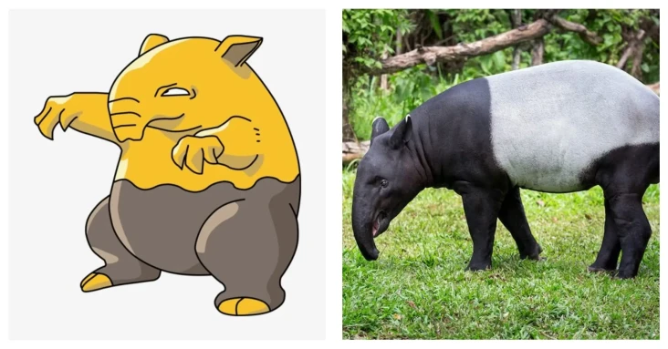 5 Karakter Pokemon yang...