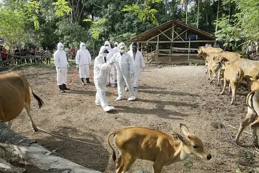 Pemerintah Kendalikan...