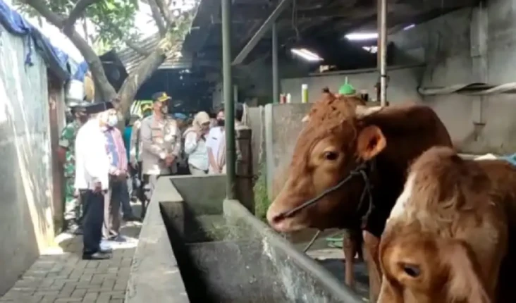 Pantau Penyebaran Virus...