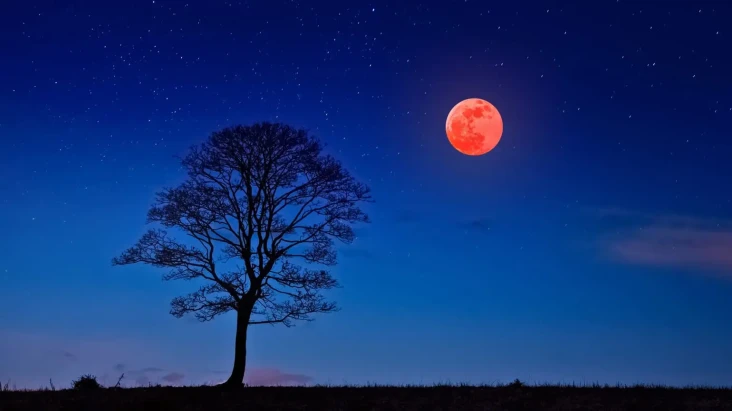 Ada Gerhana Bulan Total...