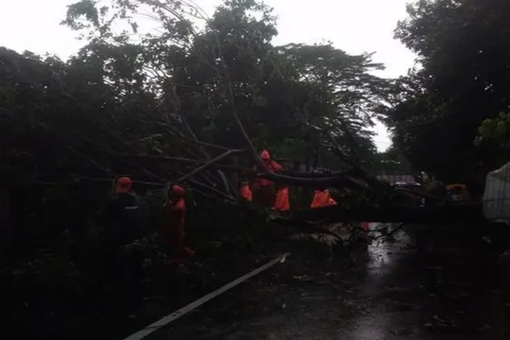 Dilanda Hujan Deras...