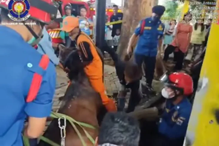 Begini Aksi Damkar Selamatkan...