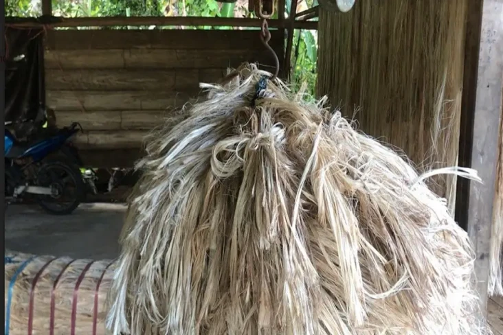 Serat Abaka, Komoditas...