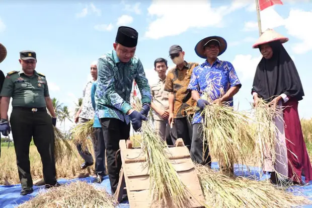 Ilham Azikin Sebut Pertanian...