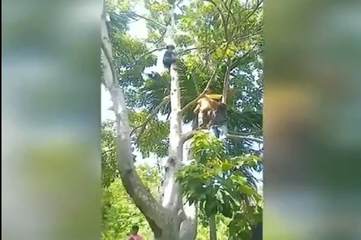 Ngeri! Pria Aceh Ini...