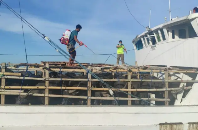 Dinyatakan Sehat-Bebas...
