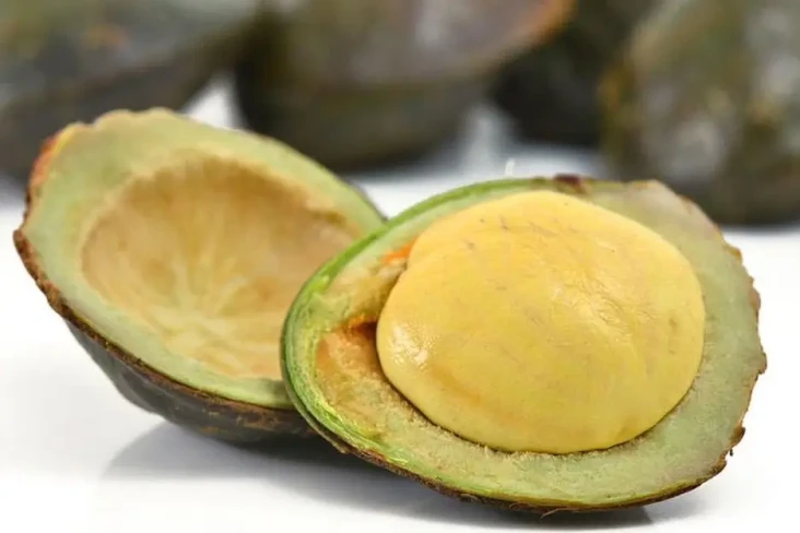 Suka Makan Jengkol?...