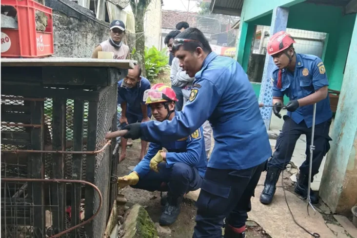 Gigit Pemiliknya hingga...