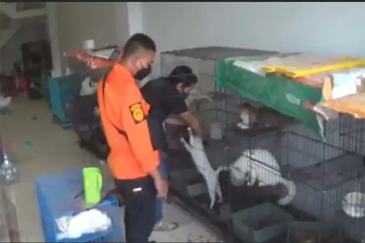 135 Ekor Kucing Ditelantarkan...