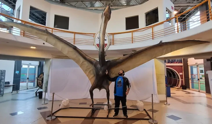 Fosil Dinosaurus Naga...