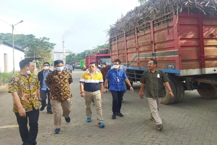 Kepala Badan Pangan...