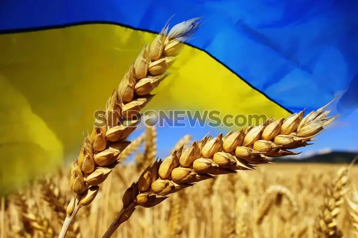 Zelensky Ingatkan Krisis...