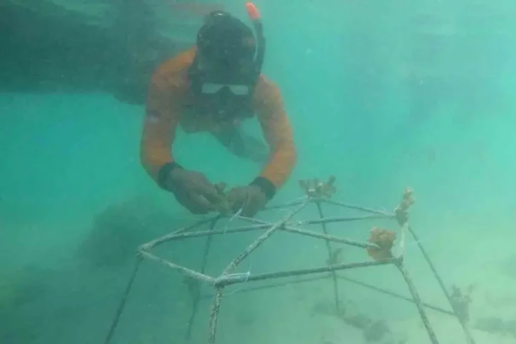 Pikat Wisatawan, Kepulauan...