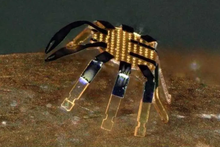 Berhasil Ciptakan Robot...