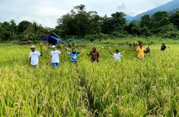Panen Perdana SRI Organik...