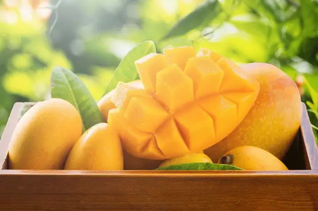 Deretan Makanan Kesukaan...