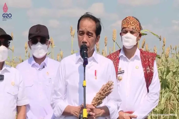 Jokowi Minta Sorgum...