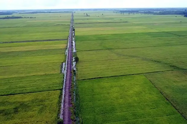 Irigasi Pertanian Tingkatkan...