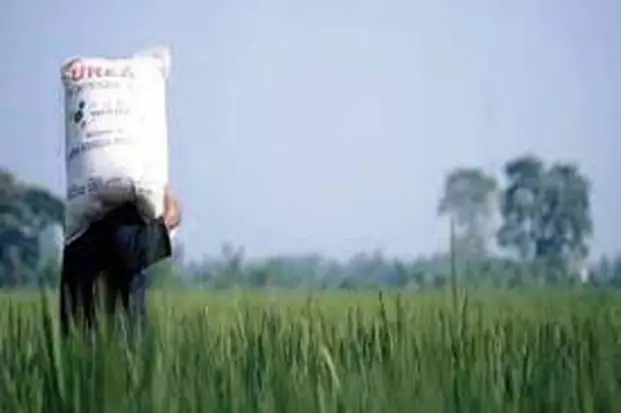 Pengamat Sebut Ketergantungan...
