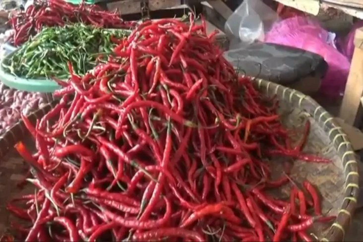 Harga Cabai Meroket,...