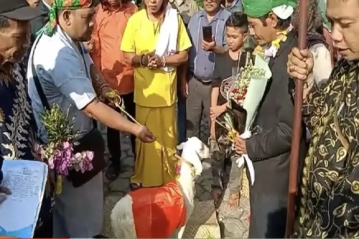 Geger Pria Gresik Nikah...