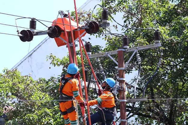 Tim Khusus PLN Pelihara...