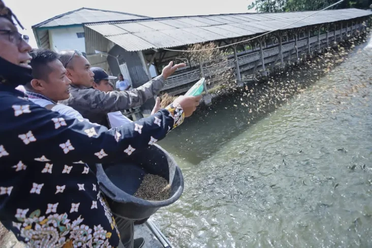 Gelar Pelatihan Budidaya...