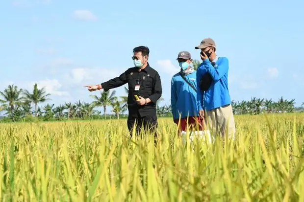 Ekonom Indef: Pertanian...