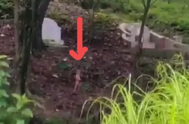 Penampakan Tuyul Berkeliaran...